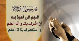 2a003101c5052980a9dfb65c1cdd70db-5c42b27e4cbfb-600x337