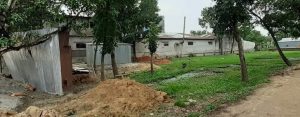 received_272864460785804