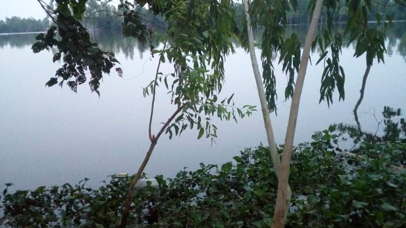 received_579112459708226