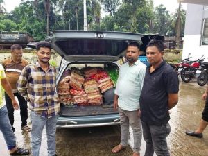 received_3331564240264448