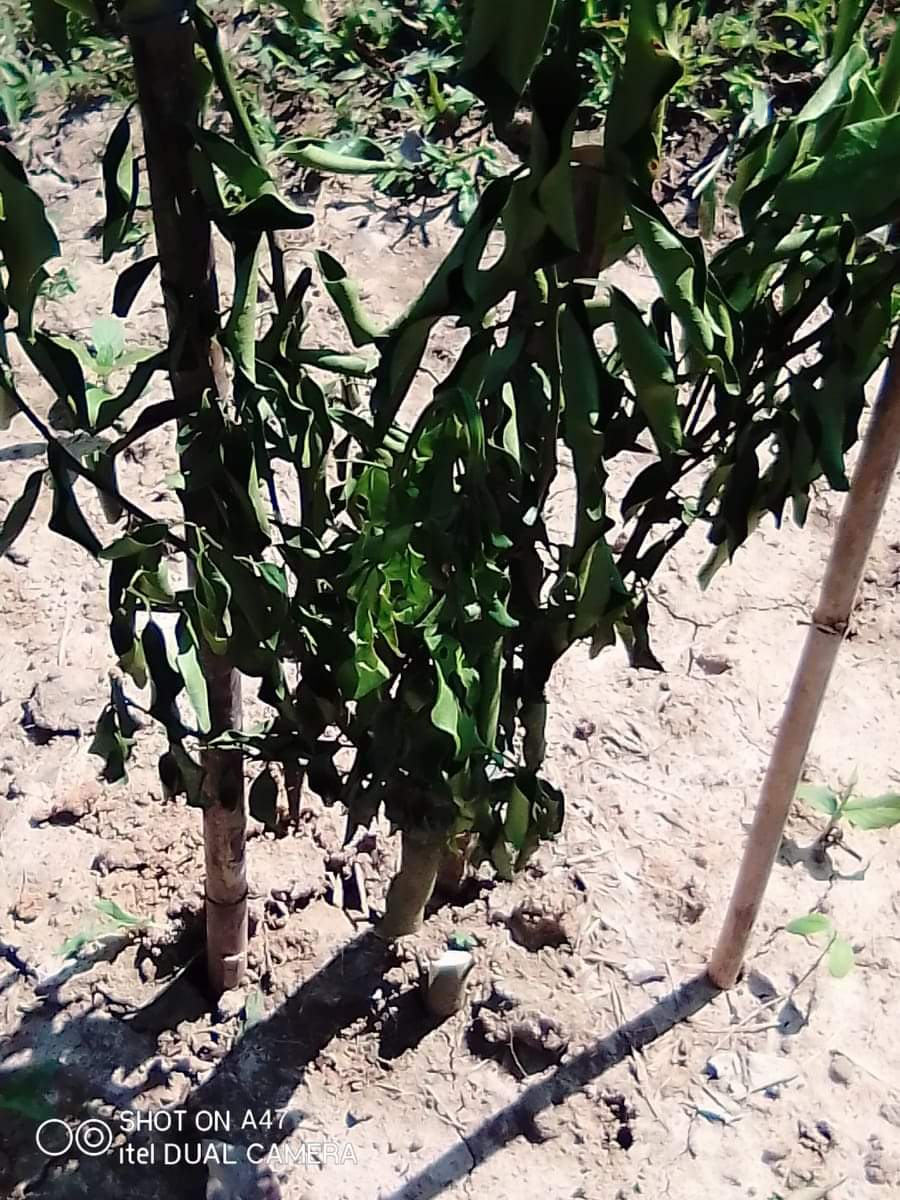 received_398790564861422