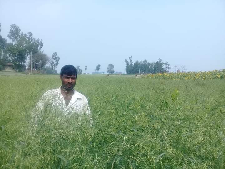 received_918028048773332