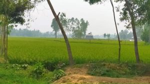 received_149252440462960