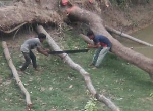 received_2600875990215868
