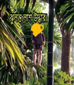 received_520920892252499