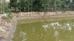 received_516827666622120