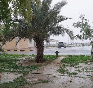 সৌদি আরবে বৃষ্টি