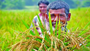 Farmers