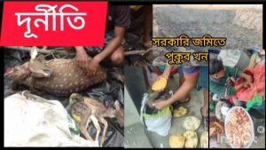 WhatsApp Image 2025-12-29 at 10.17.31